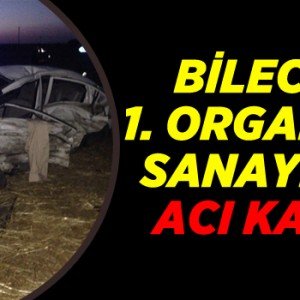organizesanayibolges