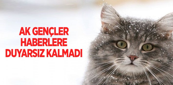 akgencler