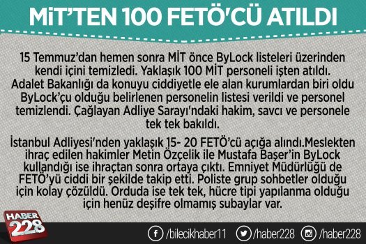 feto1