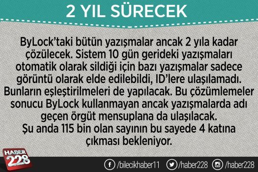 feto11