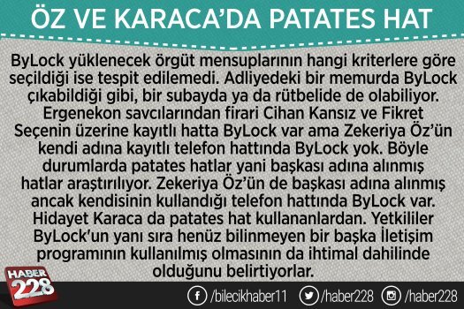 feto12