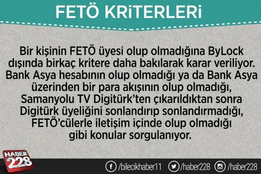 feto2