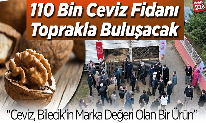 110 bin ceviz fidanı toprakla buluşacak