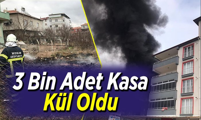 3 bin adet kasa kül oldu