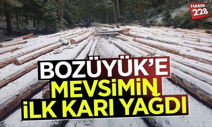 BOZUYUKKAR