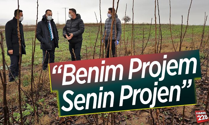 Benim Projem Senin Projen