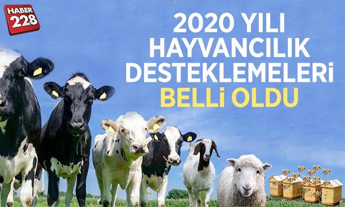 DESTEKLEME