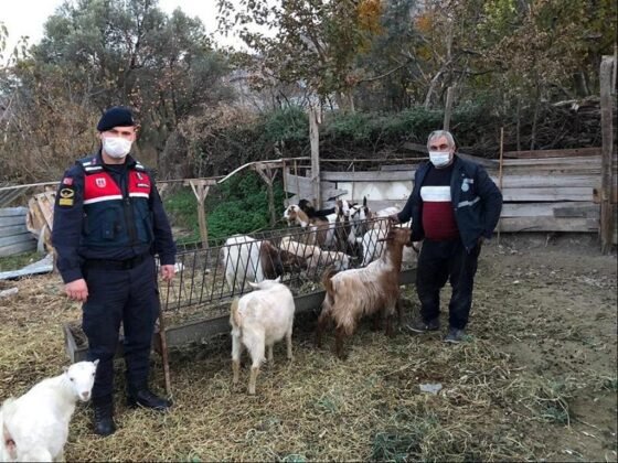 Eskişehirde Çaldı Bilecikte Sattı (1)