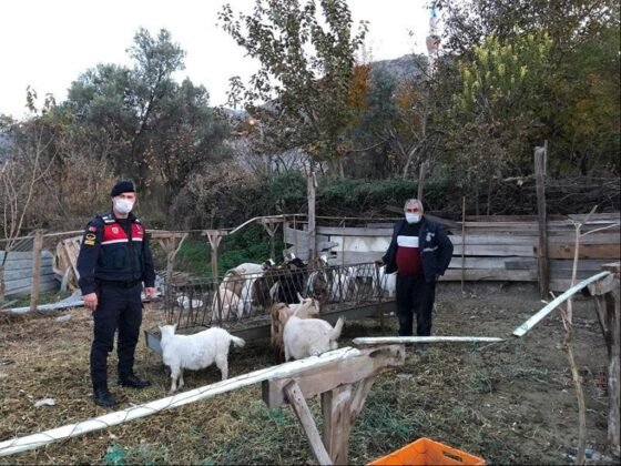 Eskişehirde Çaldı Bilecikte Sattı (3)