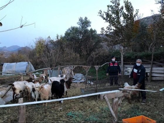 Eskişehirde Çaldı Bilecikte Sattı (4)