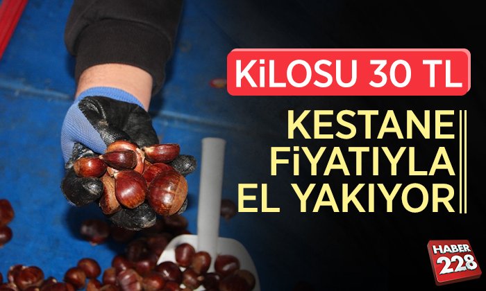 KESTANEJ