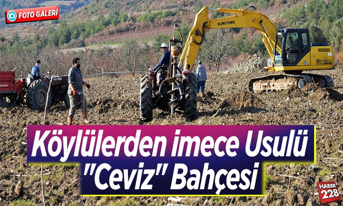 Köylülerden imece usulü ceviz bahçesi
