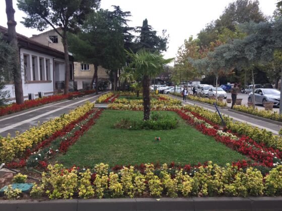 Osmaneli belediyesi koronavirüsten hayatını kaybedenler için 75 bin ağaç dikti (11)