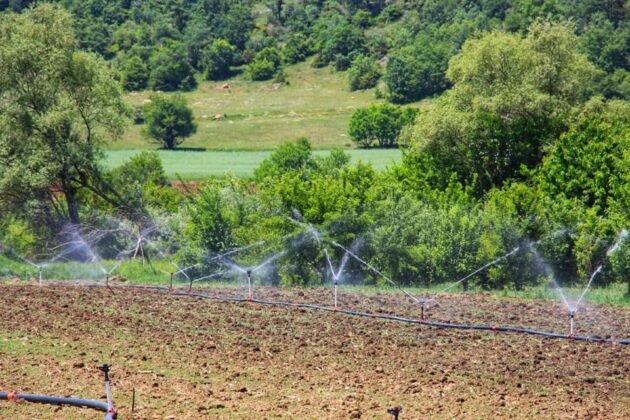 Osmaneli belediyesi koronavirüsten hayatını kaybedenler için 75 bin ağaç dikti (13)