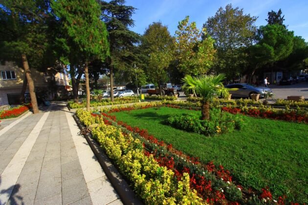 Osmaneli belediyesi koronavirüsten hayatını kaybedenler için 75 bin ağaç dikti (15)