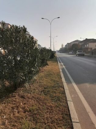 Osmaneli belediyesi koronavirüsten hayatını kaybedenler için 75 bin ağaç dikti (16)