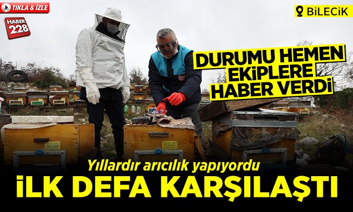 arıkoloini