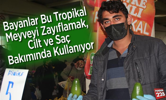 avukado zayıflatıyor