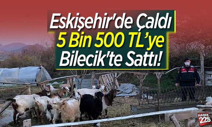 eskişehirde çaldı bilecikte sattı