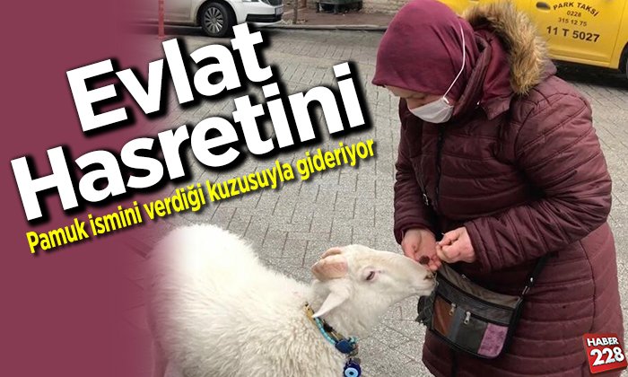 evlat hasretini kuzuyla gideriyor