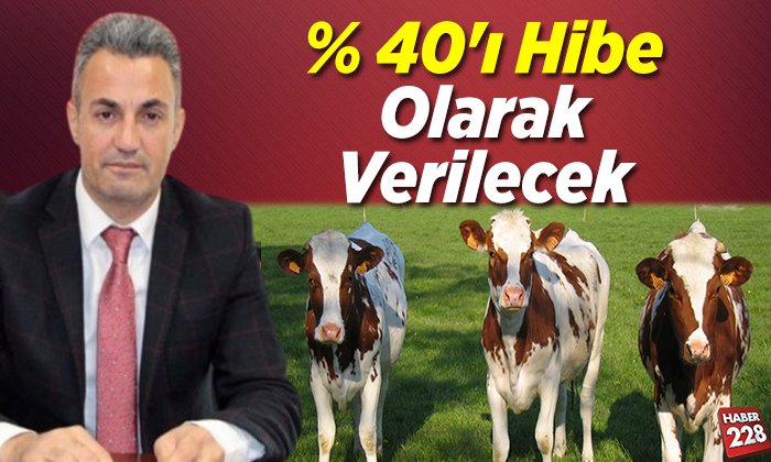 hibe verilecek