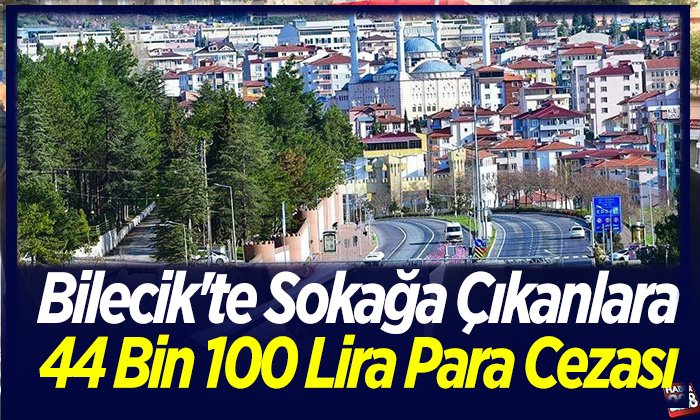kısıtlama