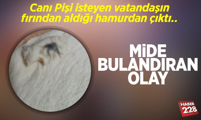 mıde