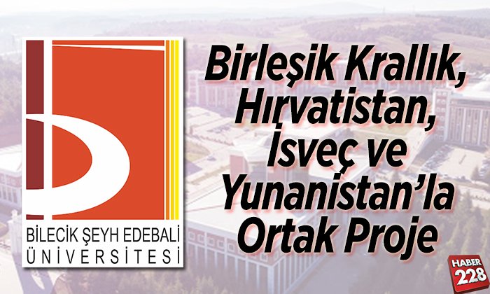 ortak proje