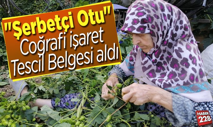 şerbetçi otu tescil belgesi