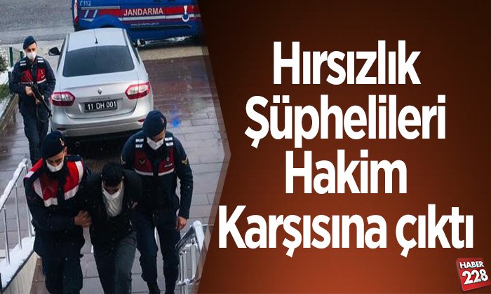 Hırsızlık şüphelileri hakim karşısına çıktı
