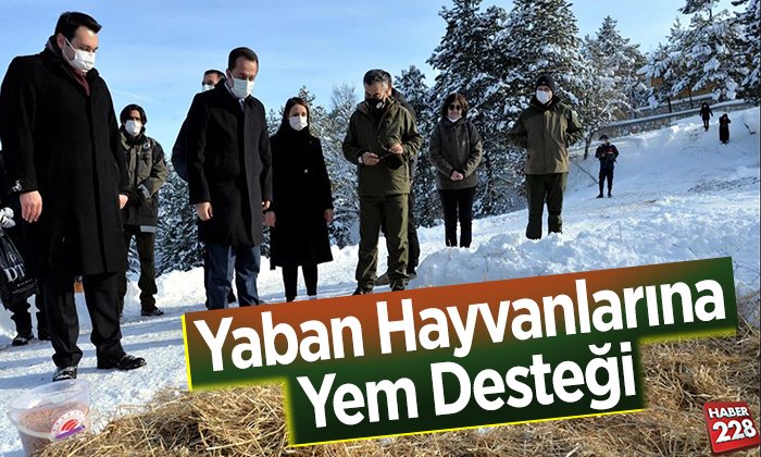 Yaban hayvanlarına yem desteği