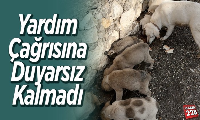 Yardım çağrısına duyarsız kalmadı