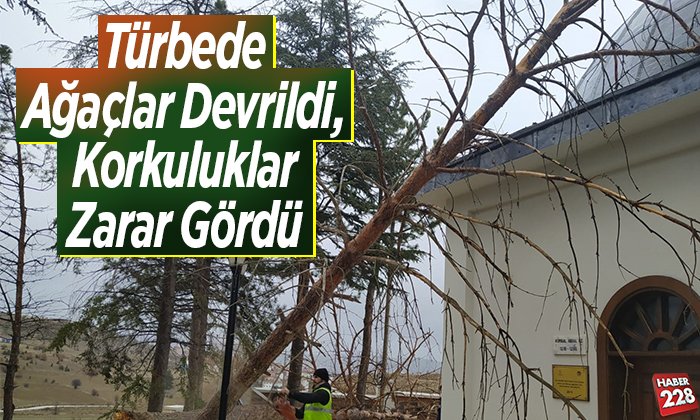 ağaçlar devrildi