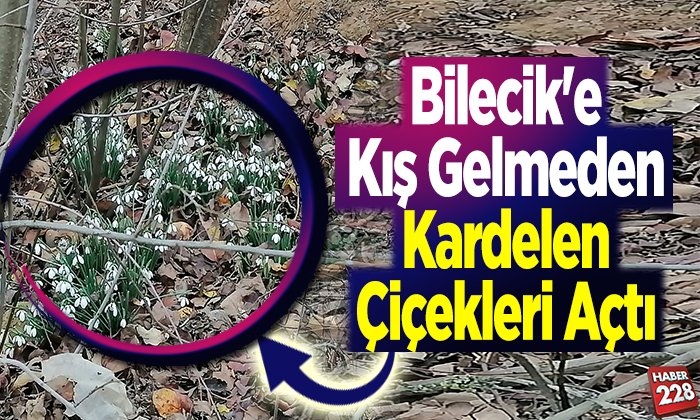 çicek açtı kıs gelmeden