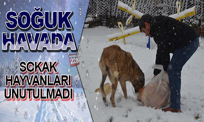 soğuk havada unutulmadılar