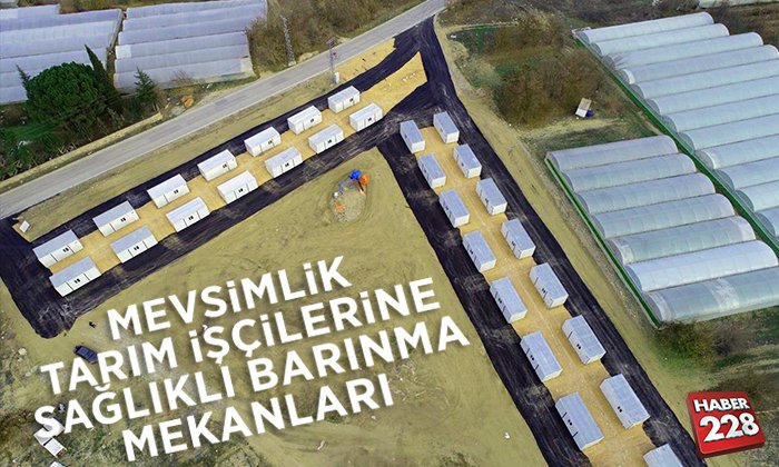 tarım