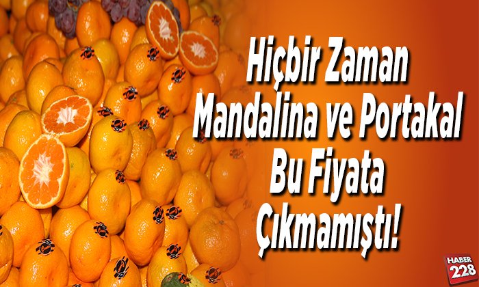 Hiçbir zaman mandalina ve portakal bu fiyata çıkmamıştı