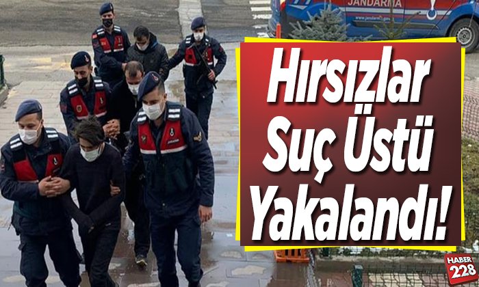 Hırsızlar Suç Üstü Yakalandı