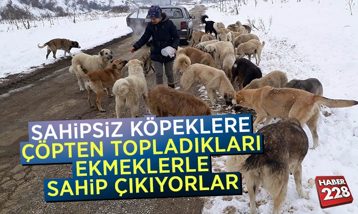 KOPEK