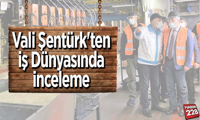 Vali Şentürkten İş Dünyasında İnceleme