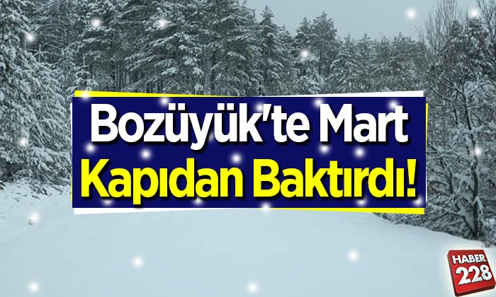 Mart Kapıdan Baktırdı