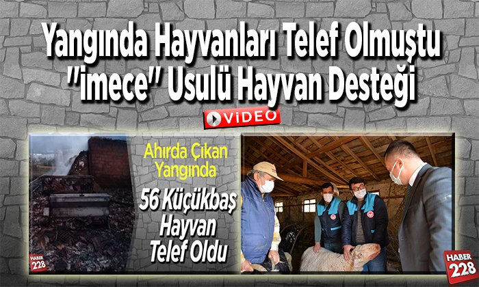 Yangında hayvanları telef olmuştu