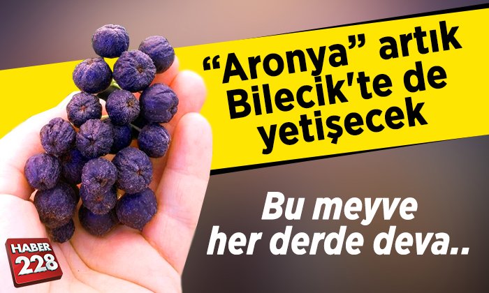 aronya