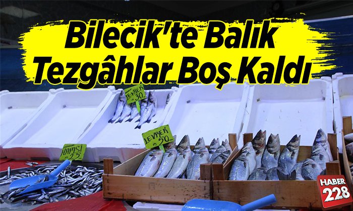 Bilecikte balık tezgahlar boş kaldı