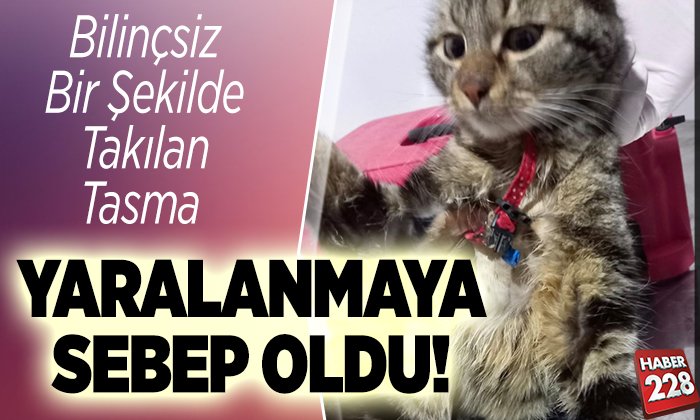 Yaralanmaya Sebep Oldu
