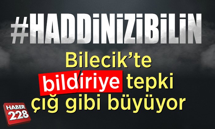 bildiri