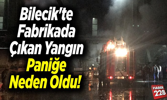 fabrikada çıkan yangın paniğe neden oldu