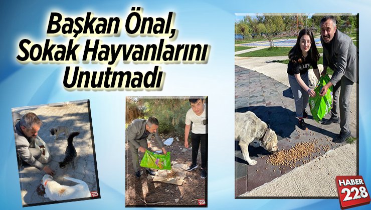 Başkan Önal Sokak Hayvanlarını Unutmadı