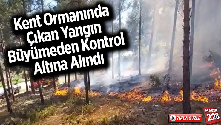 Bilecik Kent Ormanında Yangın