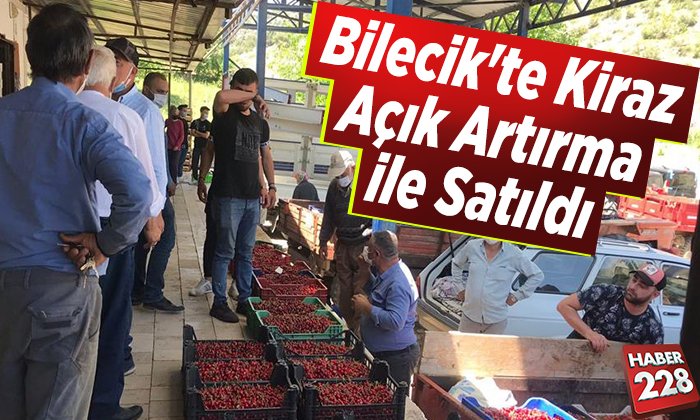 Bilecikte Kiraz Açık Artırma İle Satıldı